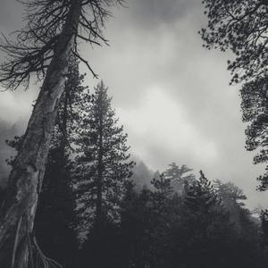 back to you (feat. Br!zzy) (Explicit)