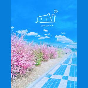 张斯函 - 与你看云的日子（自制火影究极风暴3OP开场曲）