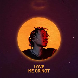 Love Me Or Not