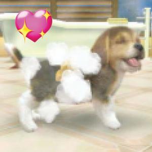 nintendogs (Explicit)