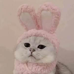 家有儿女 (DJ弹鼓版)