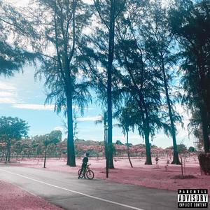 health issues (Explicit)