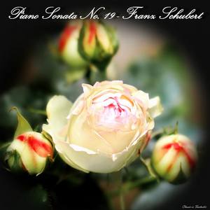 Piano Sonata no. 19 in C minor, D. 958 - Franz Schubert - Piano Sonata no. 19 in C minor, D. 958: I. Allegro