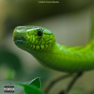 Green Mamba (Explicit)