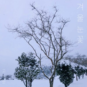 겨울 눈꽃 (winter snowflakes)