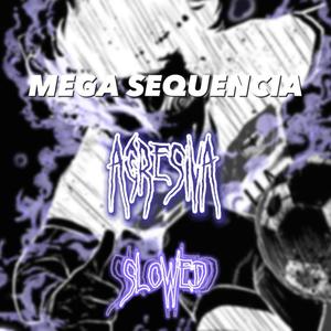 MEGA SEQUENCIA AGRESSIVA (Slowed) (Explicit)