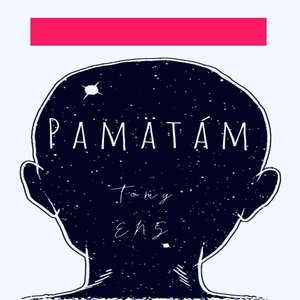 Pamätám(PNL-deux feres remix) [Explicit]