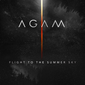 Flight To The Summer Sky