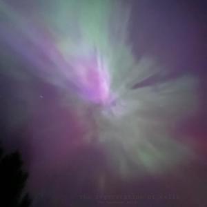 I hope we make it past our 20's (feat. Jacob Williams)