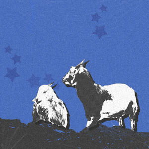 LATITUDE & LONGITUDE (Explicit)