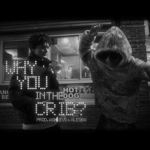 Why you in the crib? (Explicit)