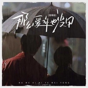 那么爱你也没用 (烟嗓版)