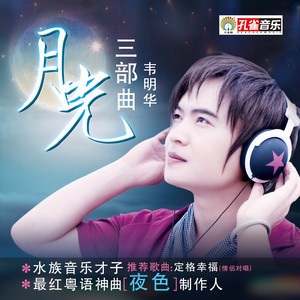 穿过琴弦的月光 (DJ版)