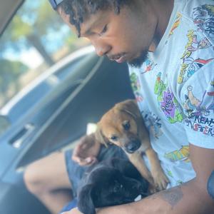 Achievements (Explicit)