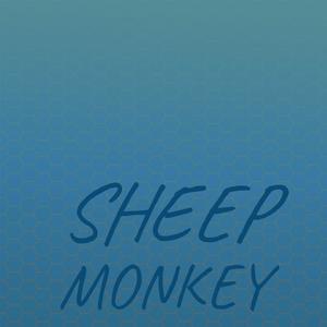 Sheep Monkey