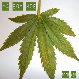 V.P.R.(feat. Stitch81classic) (Explicit)