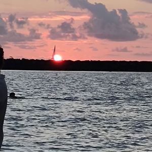 that particular day (2026) (Edit)