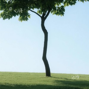 独撑封面