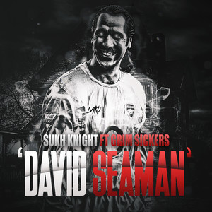 David Seaman