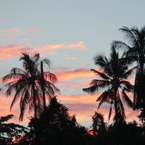 I Like You So Much and You Will Know It