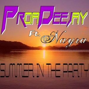 Summer in the Party (Original Mix)