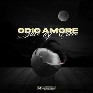 Odio, amore, sale & cocco