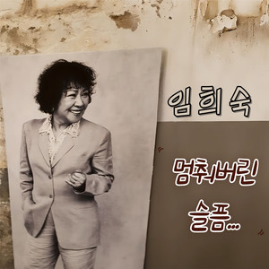 멈춰버린 슬픔 (MR)