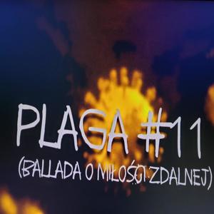 Plaga #11 (Ballada o miłości zdalnej)