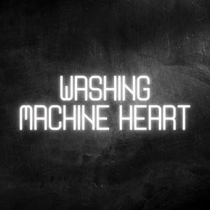 Toss Your Dirty Shoes in My Washing Machine Heart (Washing Machine Heart)