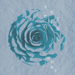 下雪了我们一起白头