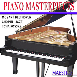 Piano Concerto No. 5 in E-Flat Major, Op. 73 Emperor: I. Allegro (降E大调第5号钢琴协奏曲，作品73“皇帝”：第一乐章 快板)