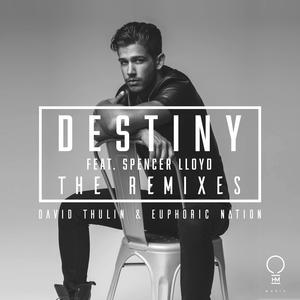 Destiny (feat. Spencer Lloyd) (Michael Fearon Remix)