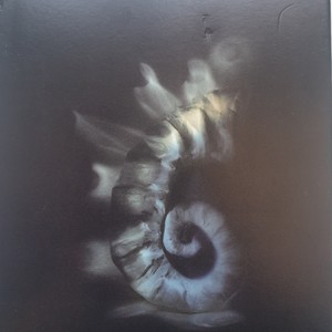 María Elía - Camaleón de Papel