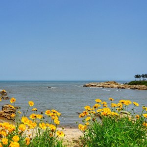 姐姐，今夜我在德令哈