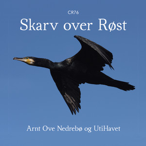 Skarv over Røst