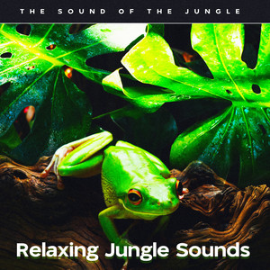 Relaxing Jungle Sounds