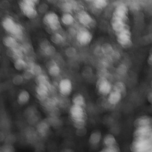 R FOR RAY(feat. Mastermind Milano, Ray & Macya The Spaghetti)