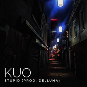 Stupid (feat. Delluna) (Explicit)