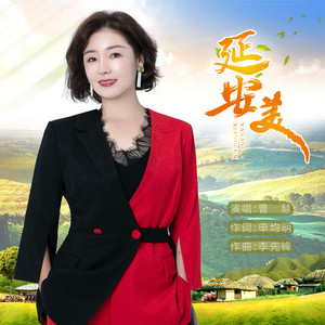 延安美 (DJ默涵版)