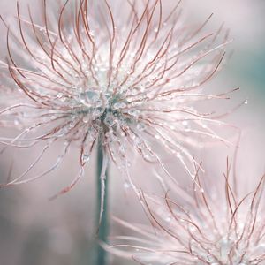 Sleep Baby Lull Brown Noise