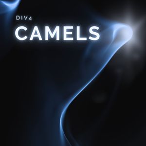 Camels