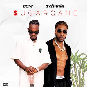 SUGARCANE (feat. E2M) (Explicit)