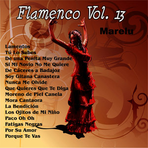 Flamenco Vol. 13