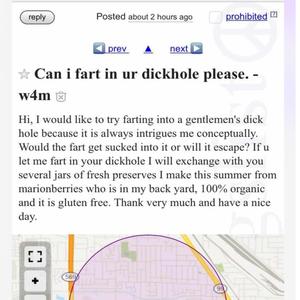 Can I Fart In Your **** Hole Please?