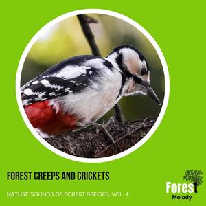 Company of the Seaguls