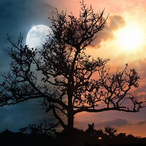 Drifting Away (Explicit)