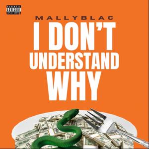 I don't understand why (Explicit)