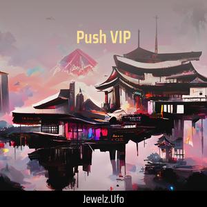 Push Vip