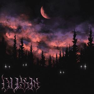 Record(feat. HillyWav, mute & amxnium.) (Explicit)
