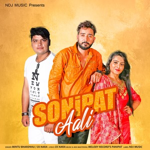 Sonipat Aali